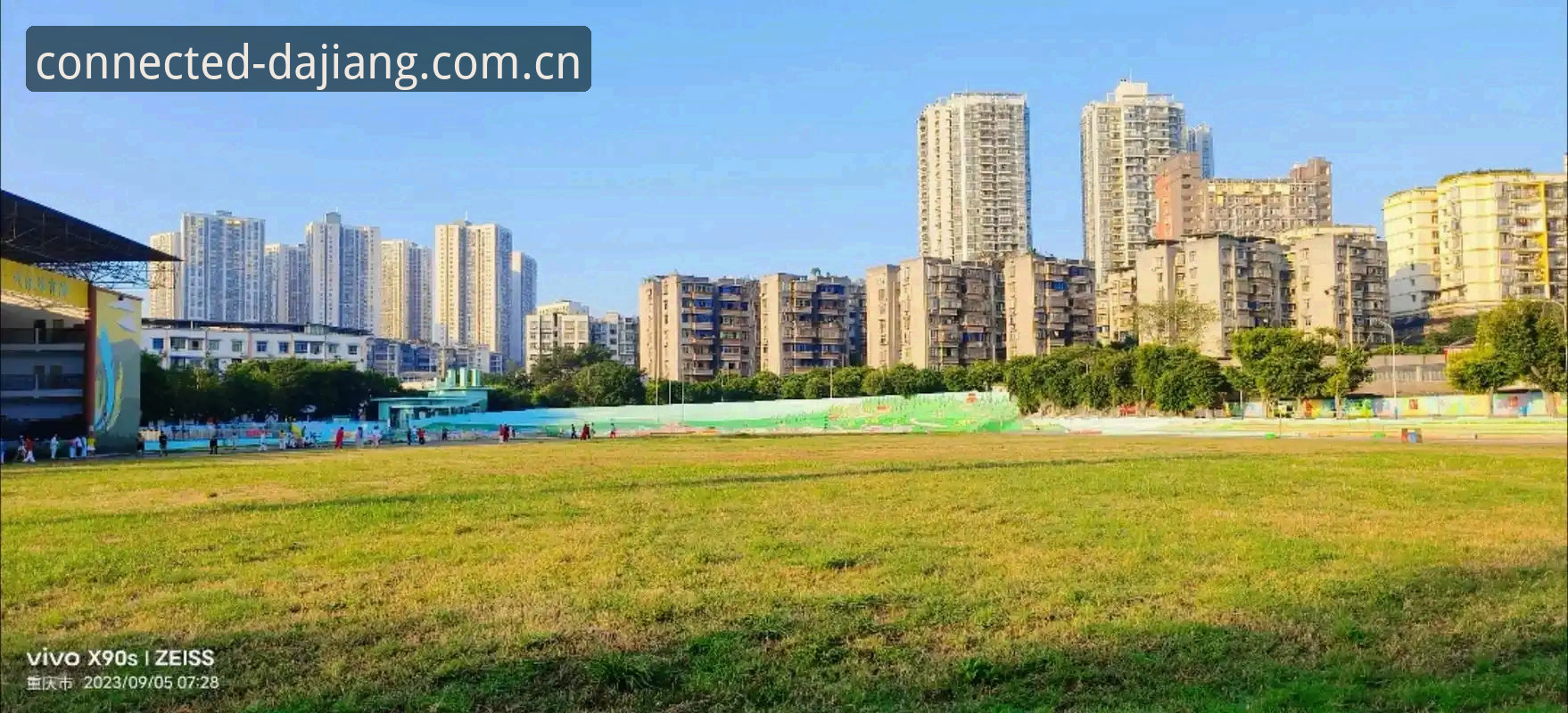 大江体育历史记录查询评测：换了新入口，你的数据真的全回来了吗？